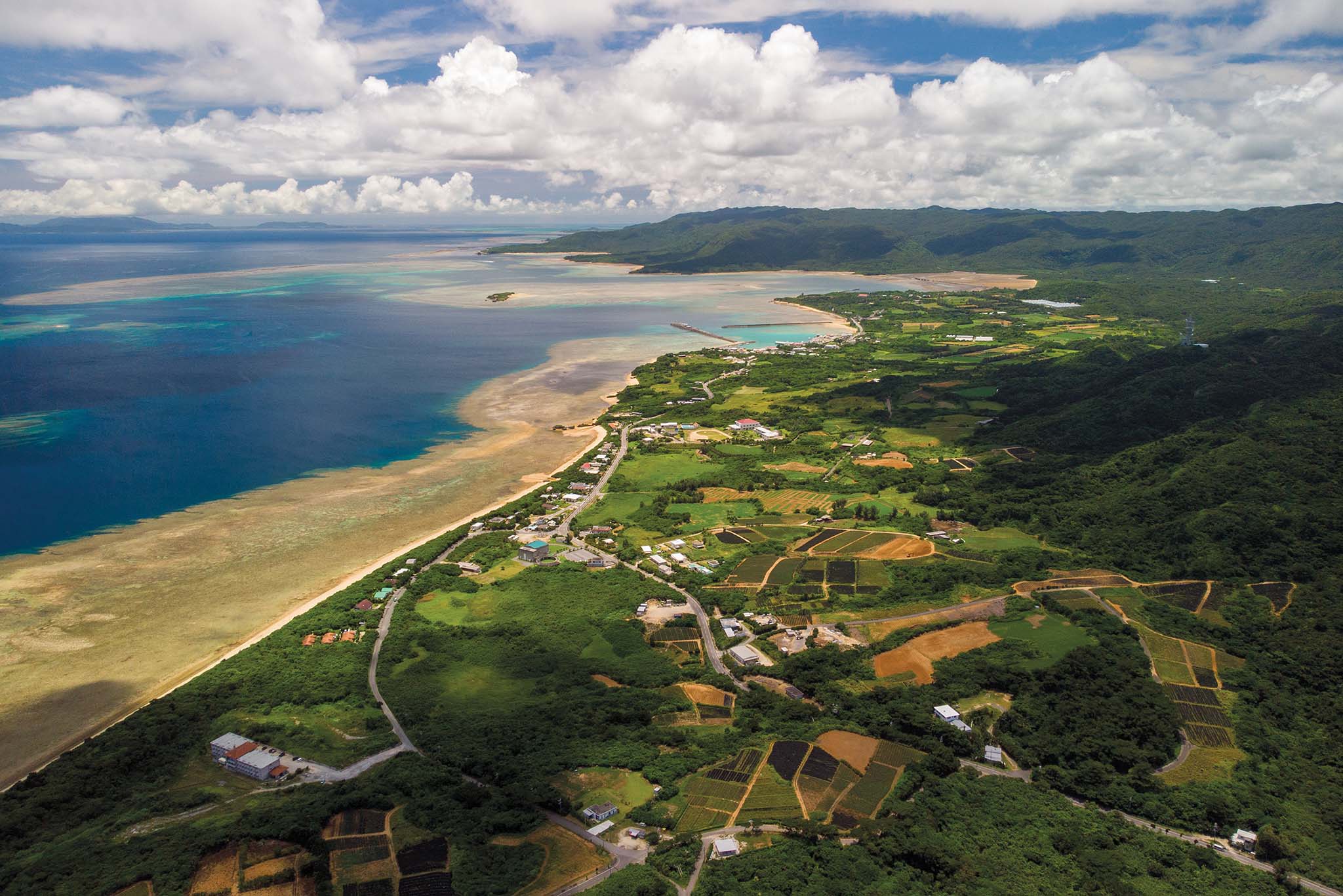 珊瑚礁の守護者たち - Halekulani Living 沖縄